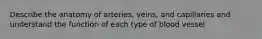 Describe the anatomy of arteries, veins, and capillaries and understand the function of each type of blood vessel