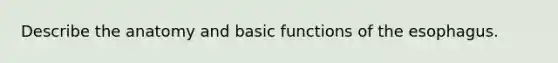 Describe the anatomy and basic functions of the esophagus.