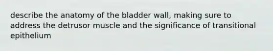 describe the anatomy of the bladder wall, making sure to address the detrusor muscle and the significance of transitional epithelium