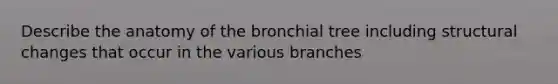 Describe the anatomy of the bronchial tree including structural changes that occur in the various branches