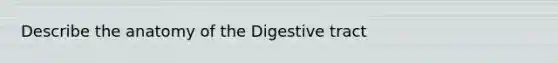 Describe the anatomy of the Digestive tract