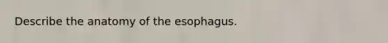 Describe the anatomy of the esophagus.