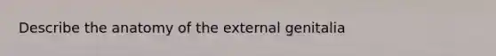 Describe the anatomy of the external genitalia