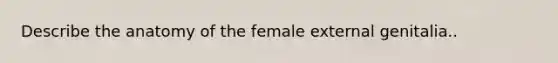 Describe the anatomy of the female external genitalia..