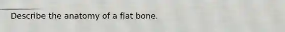 Describe the anatomy of a flat bone.