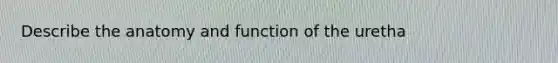 Describe the anatomy and function of the uretha