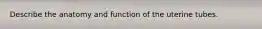 Describe the anatomy and function of the uterine tubes.