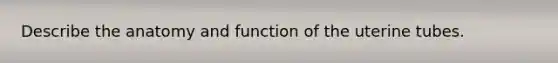 Describe the anatomy and function of the uterine tubes.