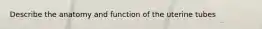 Describe the anatomy and function of the uterine tubes