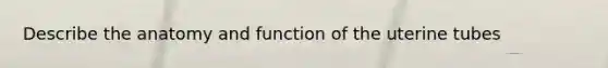 Describe the anatomy and function of the uterine tubes