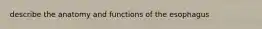 describe the anatomy and functions of the esophagus