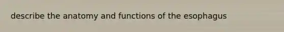 describe the anatomy and functions of the esophagus