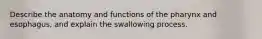 Describe the anatomy and functions of the pharynx and esophagus, and explain the swallowing process.