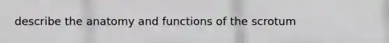 describe the anatomy and functions of the scrotum