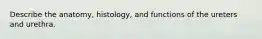 Describe the anatomy, histology, and functions of the ureters and urethra.