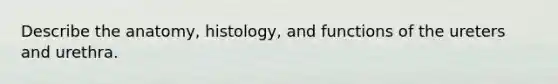 Describe the anatomy, histology, and functions of the ureters and urethra.