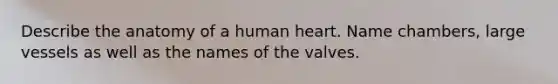 Describe the anatomy of a human heart. Name chambers, large vessels as well as the names of the valves.