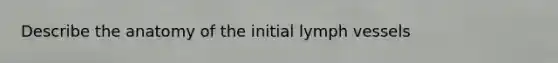 Describe the anatomy of the initial lymph vessels