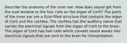 Describe the anatomy of the inner ear. How does sound get from the oval window to the hair cells on the organ of Corti? The parts of the inner ear are a fluid-filled structure that contains the organ of Corti and the cochlea. The cochlea has the auditory nerve that carries the electrical signals from the organ of Corti to the brain. The organ of Corti has hair cells which convert sound waves into electrical signals that are sent to the brain for interpretation.