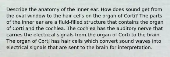 Describe the anatomy of the inner ear. How does sound get from the oval window to the hair cells on the organ of Corti? The parts of the inner ear are a fluid-filled structure that contains the organ of Corti and the cochlea. The cochlea has the auditory nerve that carries the electrical signals from the organ of Corti to the brain. The organ of Corti has hair cells which convert sound waves into electrical signals that are sent to the brain for interpretation.