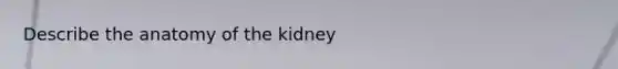 Describe the anatomy of the kidney