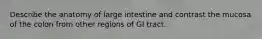 Describe the anatomy of large intestine and contrast the mucosa of the colon from other regions of GI tract.