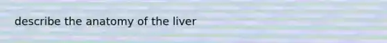 describe the anatomy of the liver