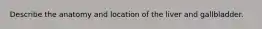 Describe the anatomy and location of the liver and gallbladder.