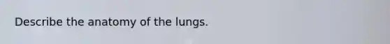 Describe the anatomy of the lungs.