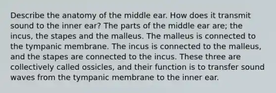 Describe the anatomy of the middle ear. How does it transmit sound to the inner ear? The parts of the middle ear are; the incus, the stapes and the malleus. The malleus is connected to the tympanic membrane. The incus is connected to the malleus, and the stapes are connected to the incus. These three are collectively called ossicles, and their function is to transfer sound waves from the tympanic membrane to the inner ear.