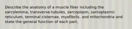 Describe the anatomy of a muscle fiber including the sarcolemma, transverse-tubules, sarcoplasm, sarcoplasmic reticulum, terminal cisternae, myofibrils, and mitochondria and state the general function of each part.