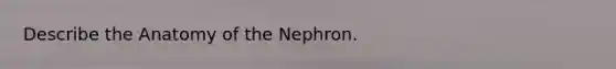 Describe the Anatomy of the Nephron.