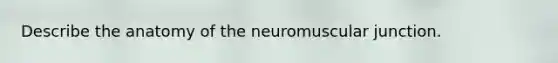 Describe the anatomy of the neuromuscular junction.