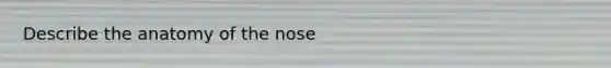 Describe the anatomy of the nose