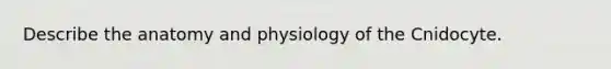 Describe the anatomy and physiology of the Cnidocyte.