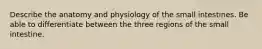 Describe the anatomy and physiology of the small intestines. Be able to differentiate between the three regions of the small intestine.