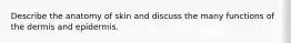 Describe the anatomy of skin and discuss the many functions of the dermis and epidermis.