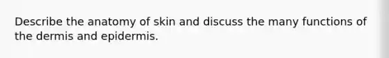 Describe the anatomy of skin and discuss the many functions of the dermis and epidermis.