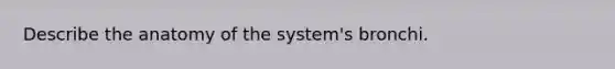 Describe the anatomy of the system's bronchi.