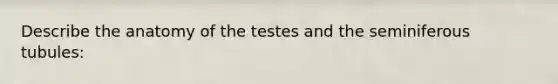 Describe the anatomy of the testes and the seminiferous tubules: