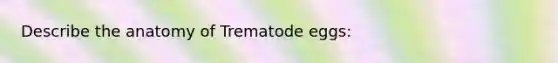 Describe the anatomy of Trematode eggs: