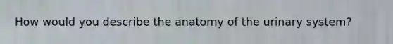 How would you describe the anatomy of the urinary system?