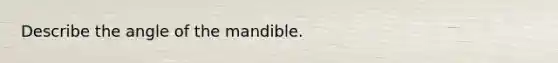 Describe the angle of the mandible.