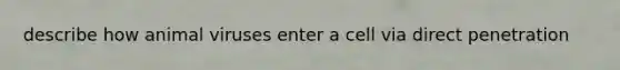 describe how animal viruses enter a cell via direct penetration