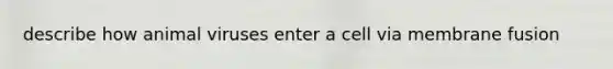 describe how animal viruses enter a cell via membrane fusion