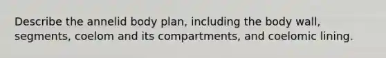 Describe the annelid body plan, including the body wall, segments, coelom and its compartments, and coelomic lining.