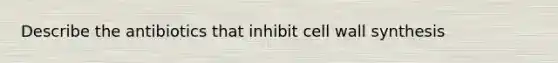 Describe the antibiotics that inhibit cell wall synthesis