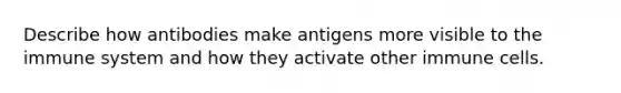 Describe how antibodies make antigens more visible to the immune system and how they activate other immune cells.