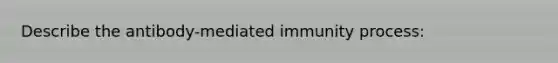 Describe the antibody-mediated immunity process: