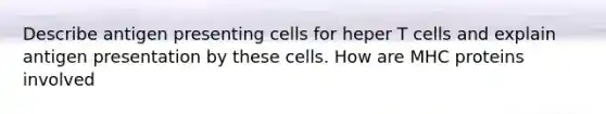 Describe antigen presenting cells for heper T cells and explain antigen presentation by these cells. How are MHC proteins involved